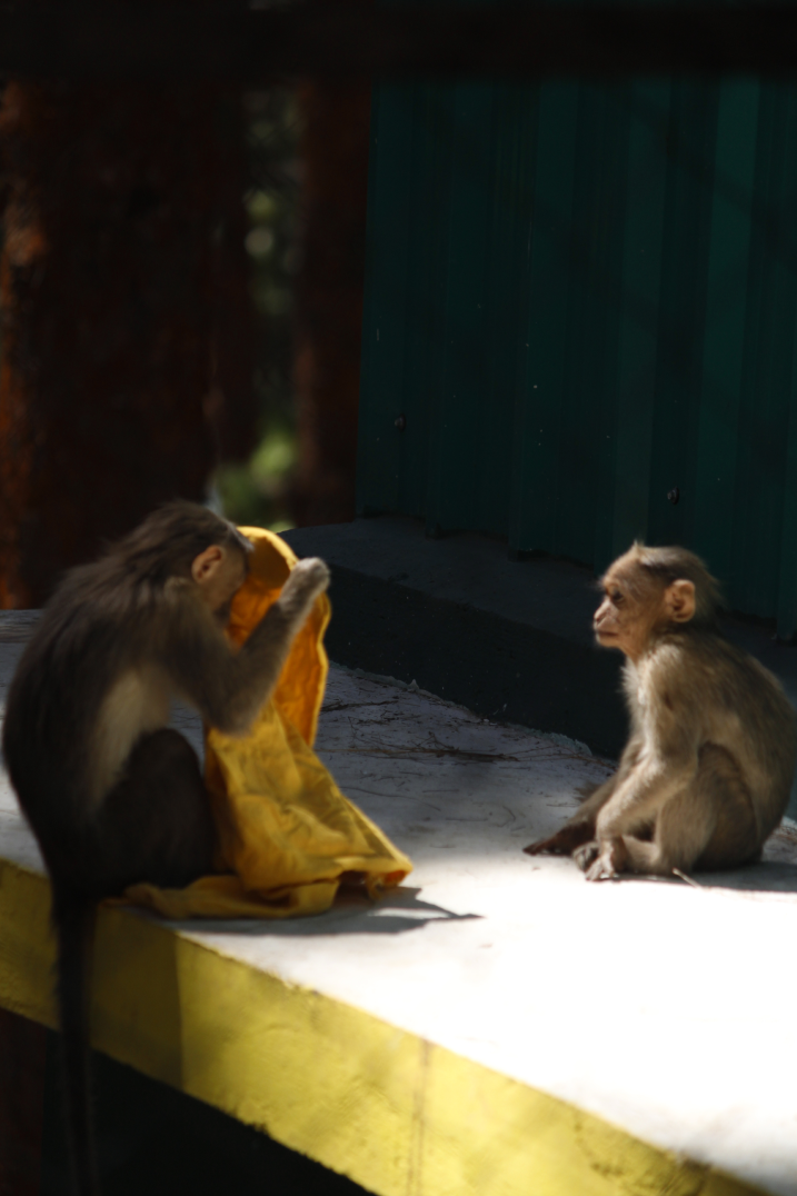 Landscape photography