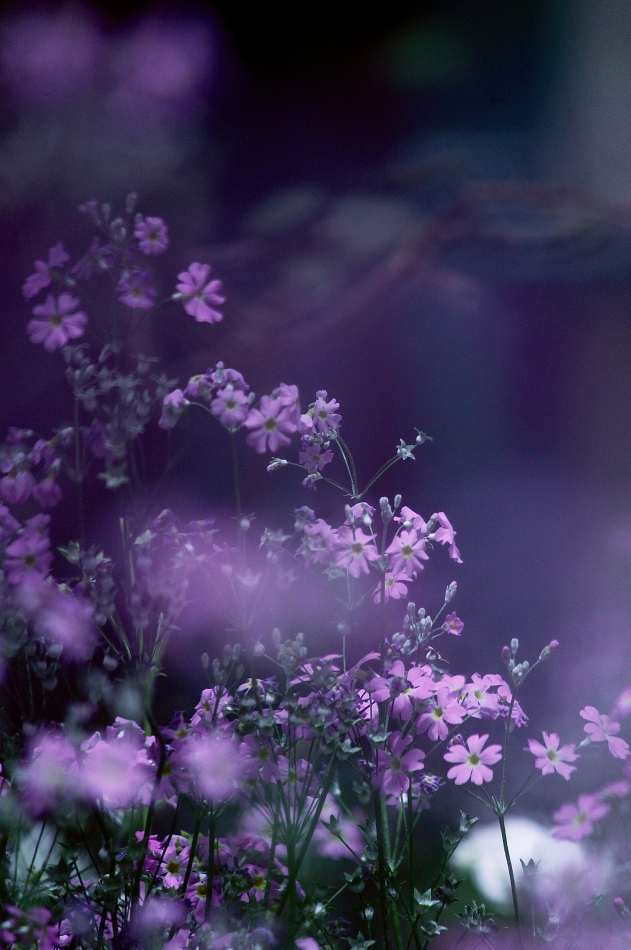 Landscape photography