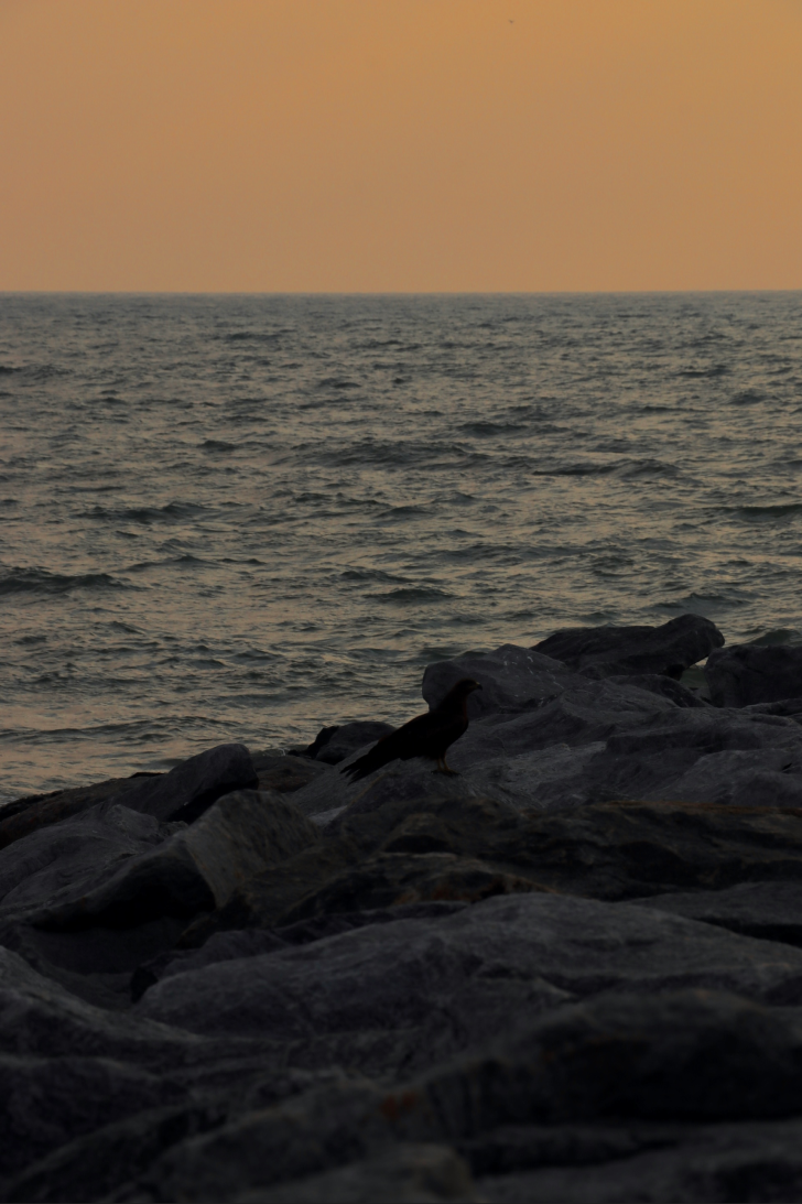 Landscape photography