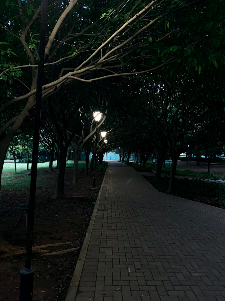 Landscape photography