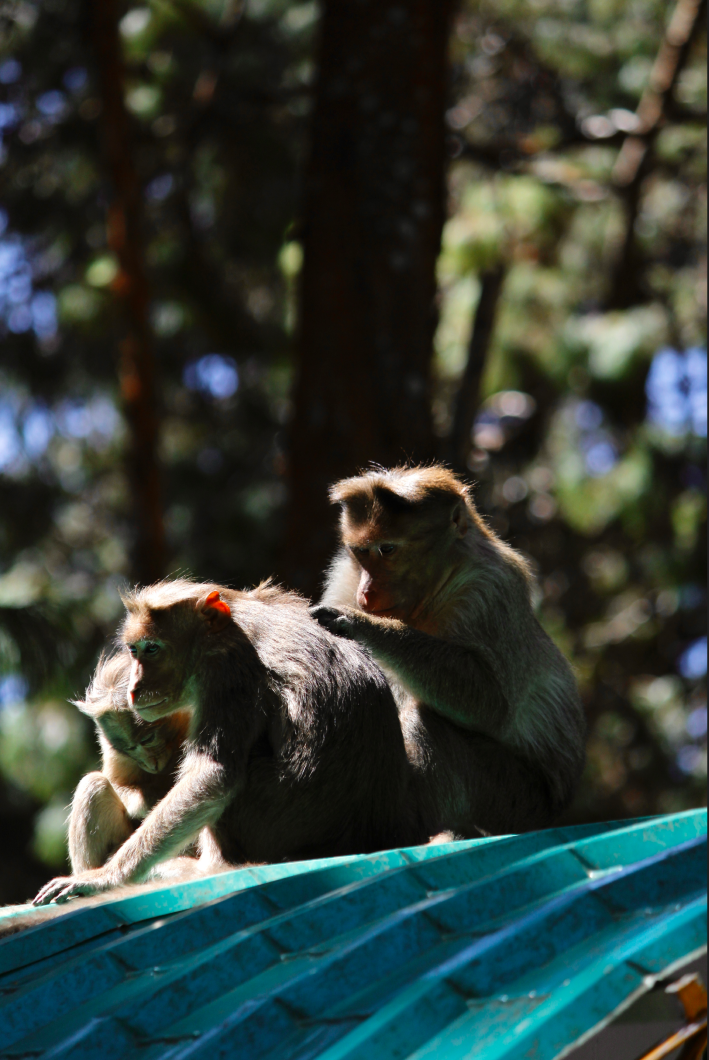 Landscape photography