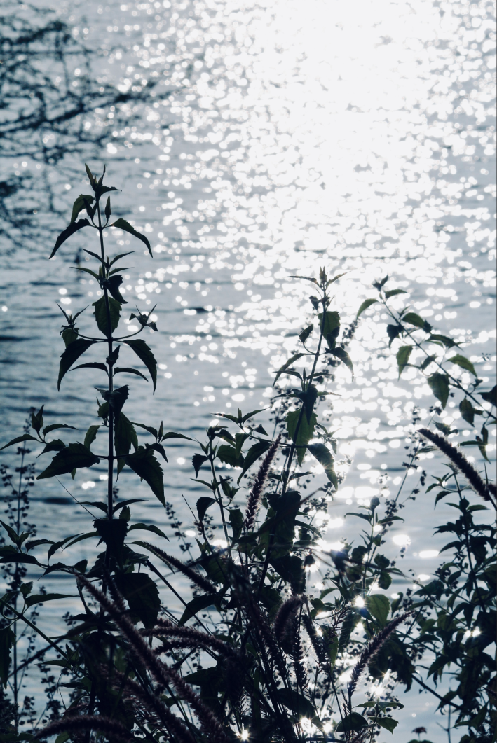 Landscape photography