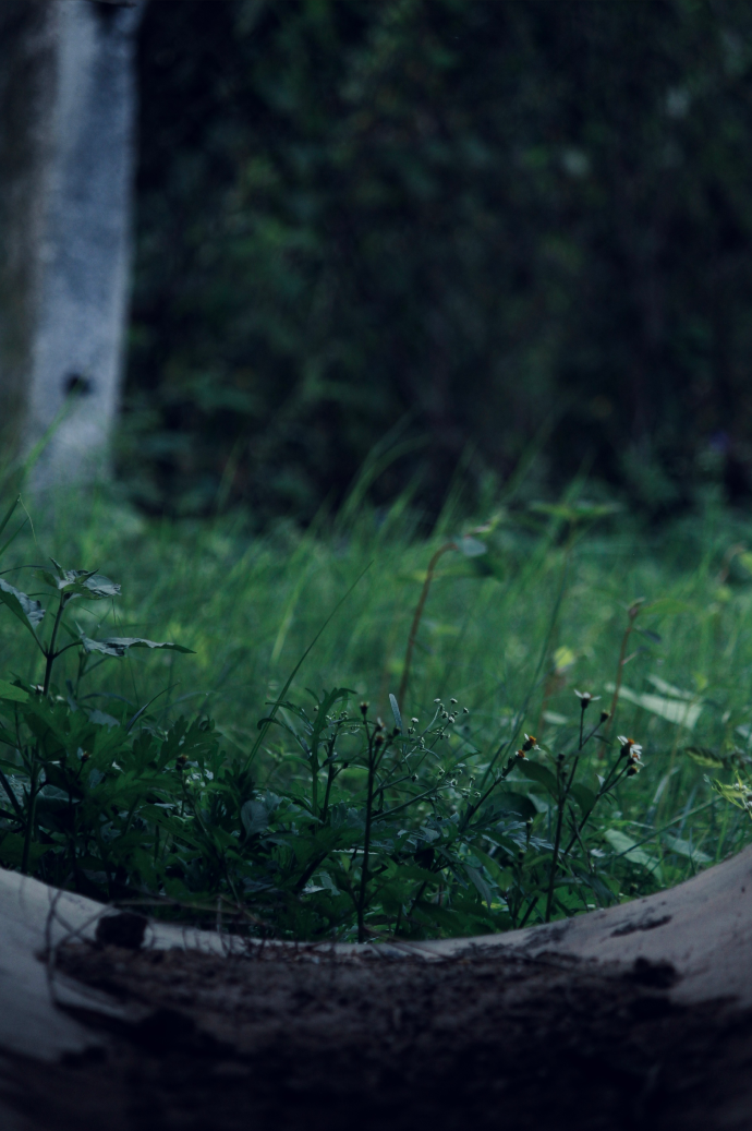 Landscape photography