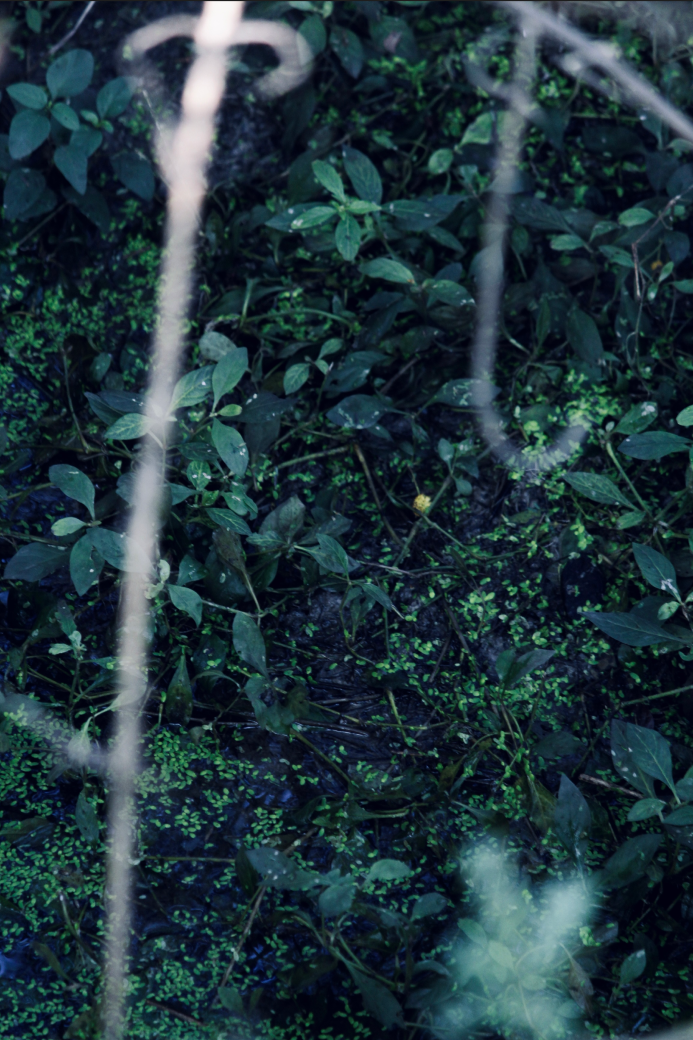 Landscape photography