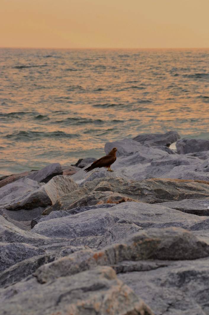 Landscape photography