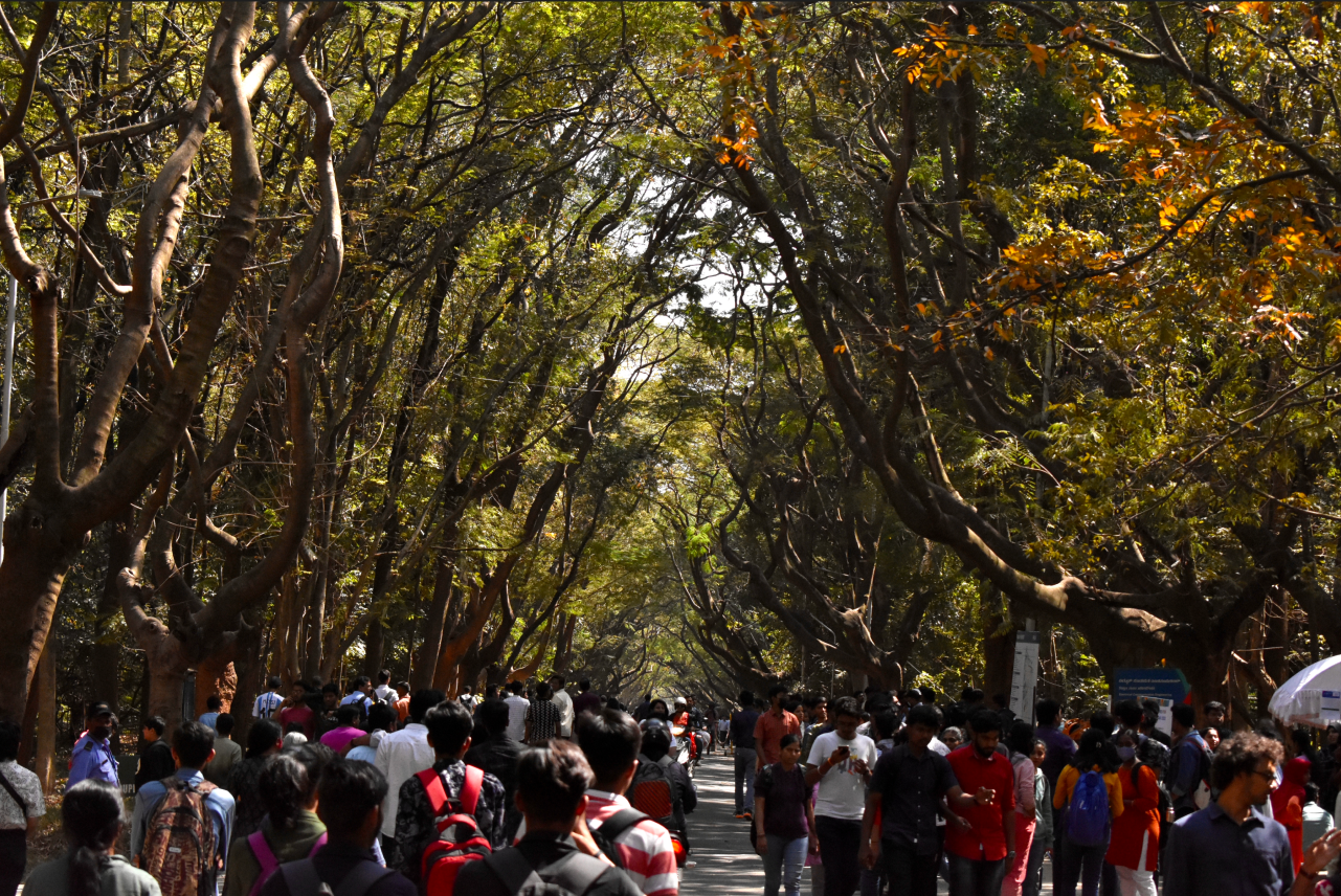 Landscape photography