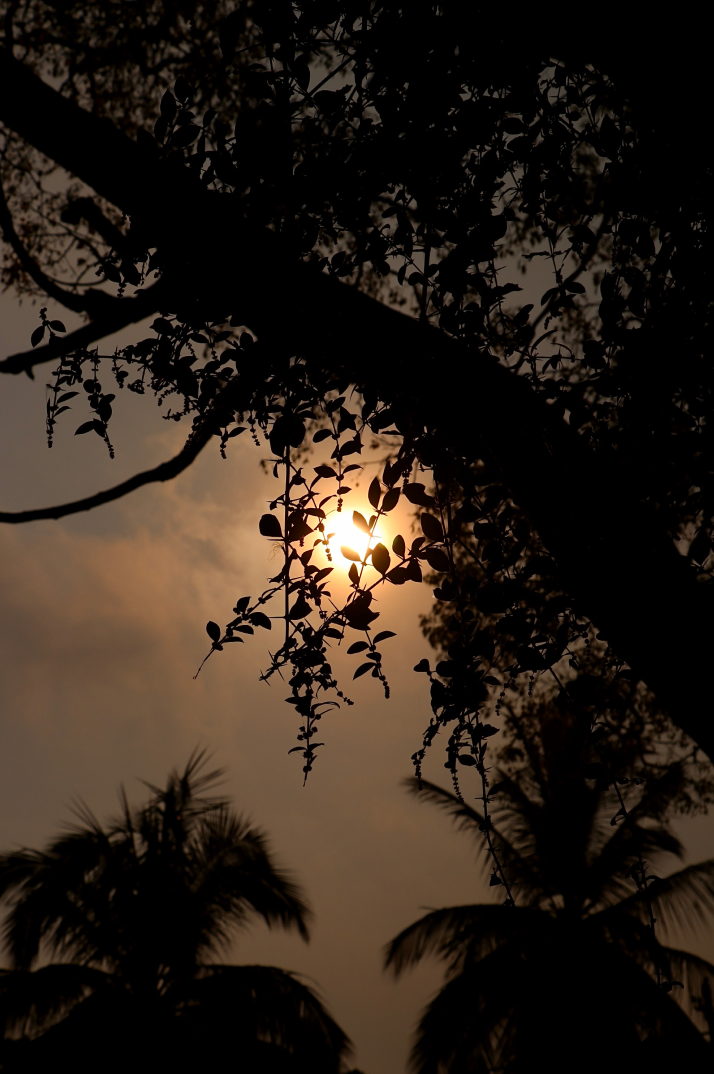 Landscape photography