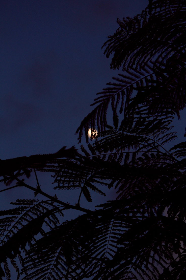 Landscape photography