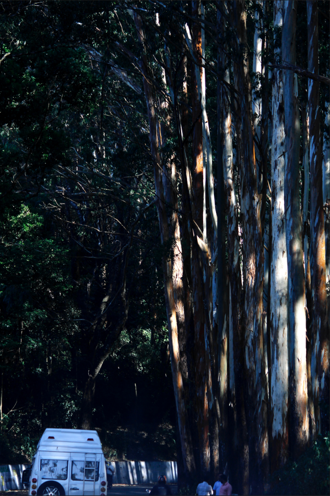 Landscape photography