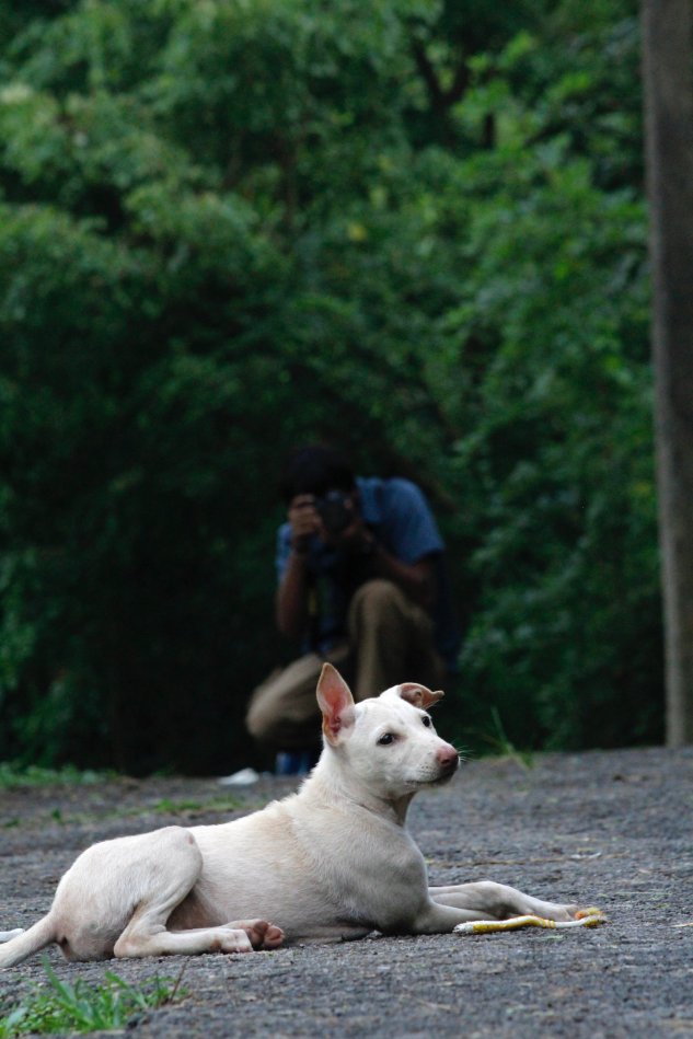 Landscape photography