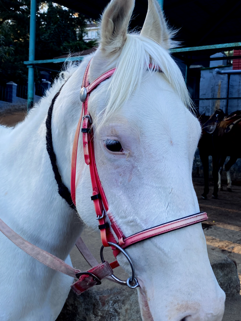 Landscape photography